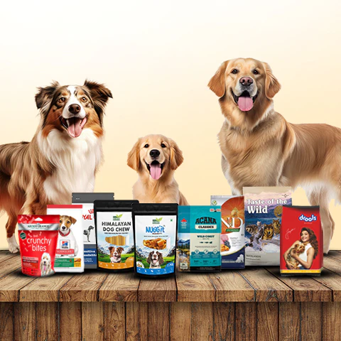 The Best Dog Foods