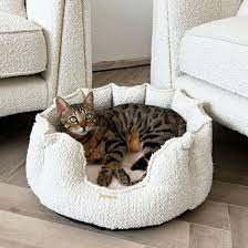 Comfortable Cat Beds for Senior Cats